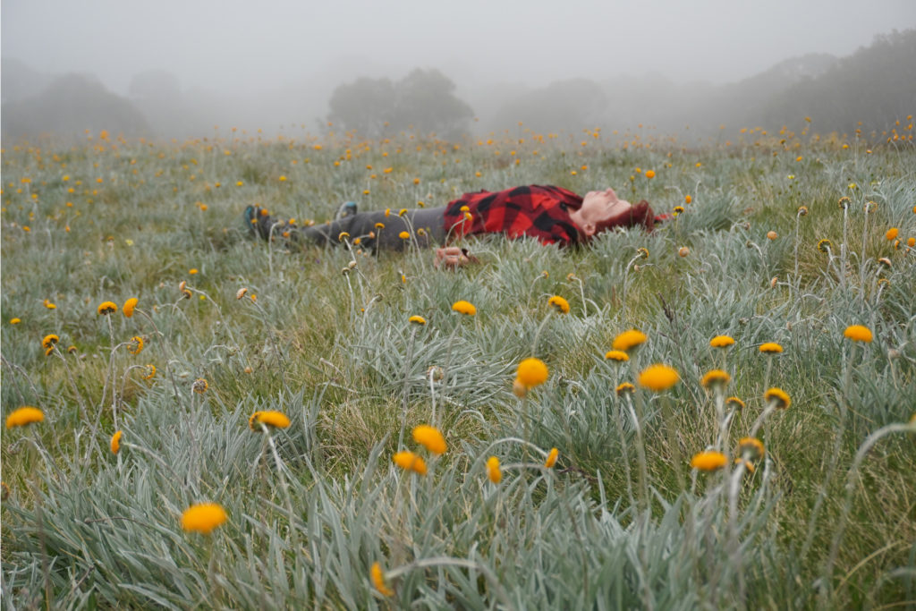 laying in vic high country field of flowers